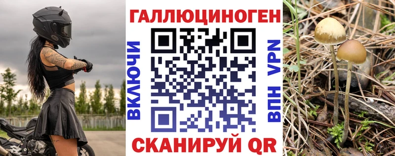 закладки  omg ссылки  Галлюциногенные грибы GOLDEN TEACHER  Питкяранта 